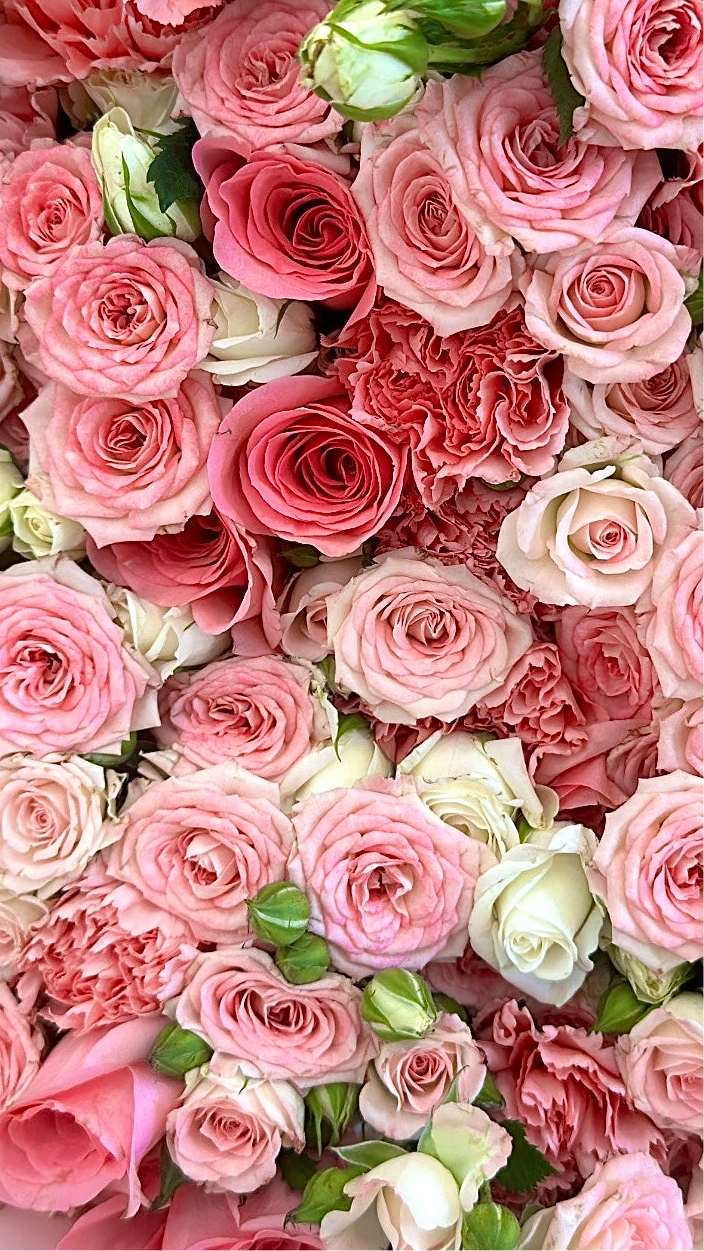 Sitara Pink